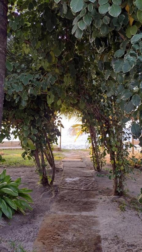 Hotel Oceano Atins Zewnętrze zdjęcie